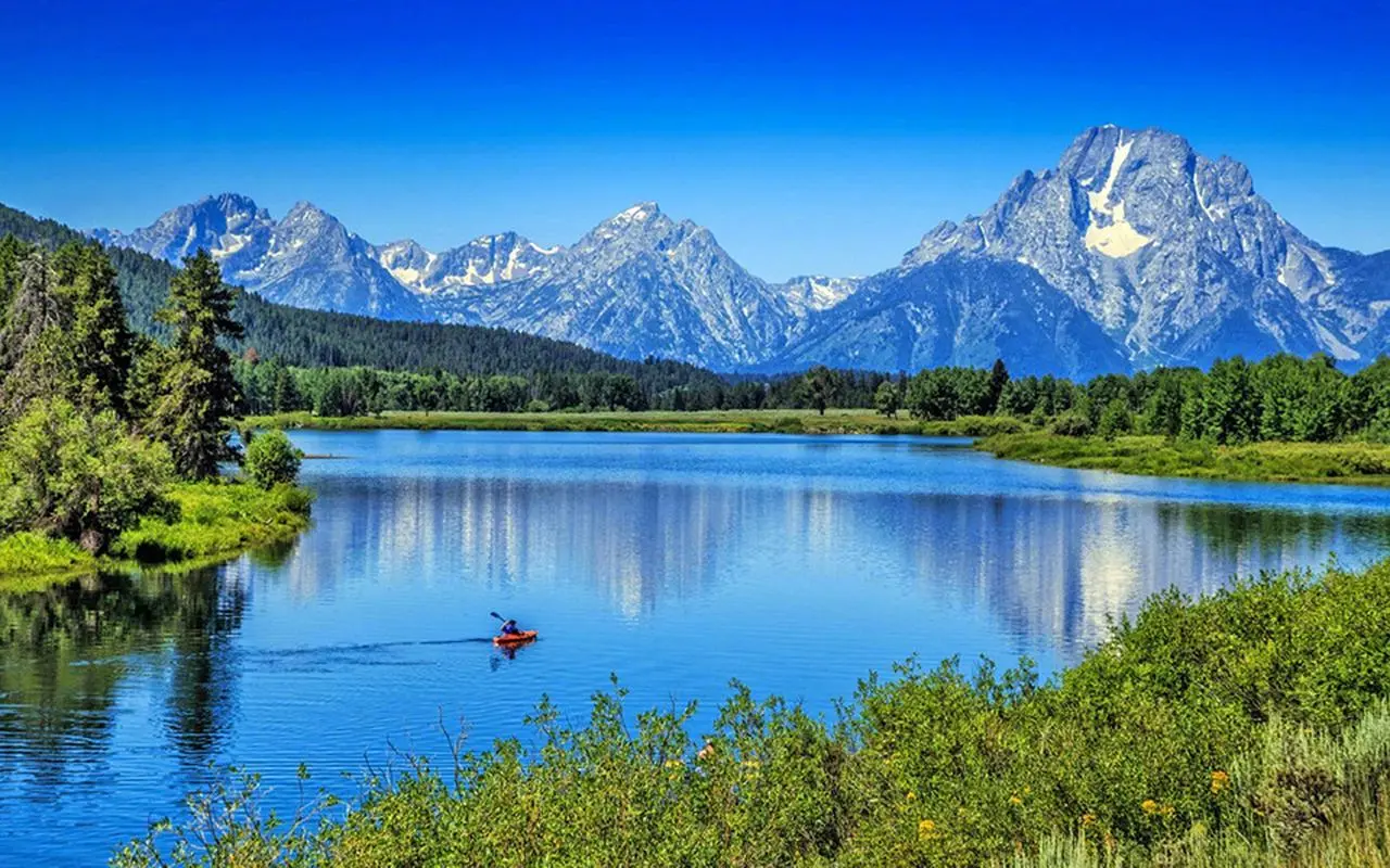 新型电子